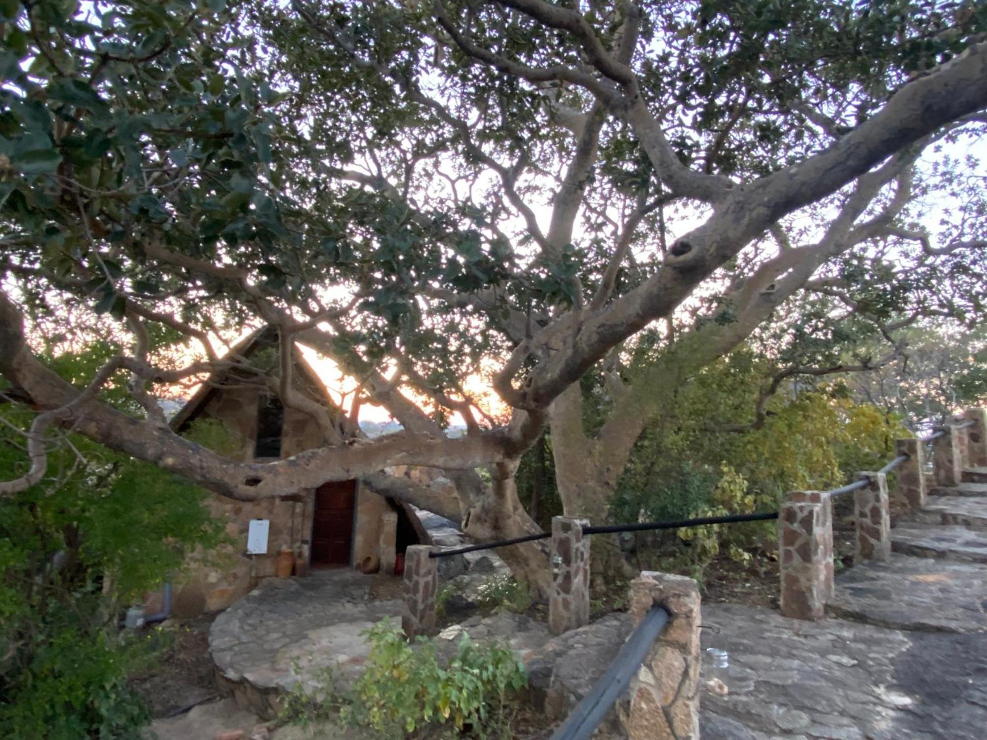 Big Cave Camp Villa Matopos Exterior photo